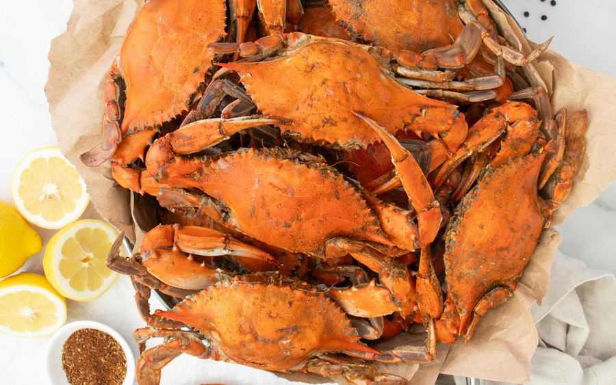 Steamed Blue Crabs in Baltimore